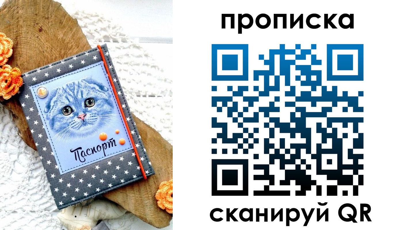 прописка от собственника в Амурской области